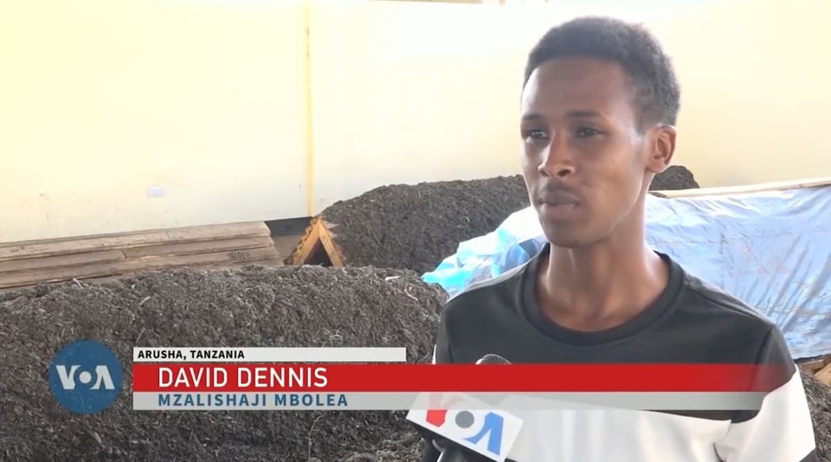 As Seen on Voice Of America